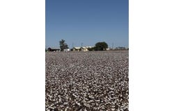 740 Sun Road, Plainview, TX 79072