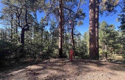 636 E Valley View Drive, Bayfield, CO 81122