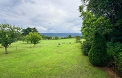 190 Co Rd 909, Etowah, TN 37331