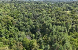 Congo Road SE, Corning, OH 43730