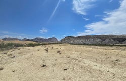151 Herman's Draw, Terlingua, TX 79852