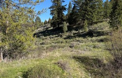 59 B4 CUTTHROAT RUN, Irwin, ID 83428