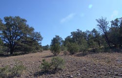 Ranch Road-Tee Pee Ranch lot: 88, Datil, NM 87821