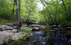 Brimer Lane, Higden, AR 72067