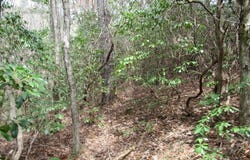 315 Falcon Crest Way, Pickens, SC 29671