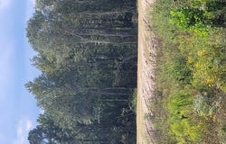 Highway 69 S, Lufkin, TX 75901