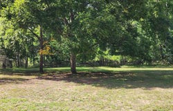 3560 Pine Tree Drive, Weidman, MI 48893