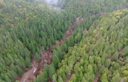 1802 Waters Creek Road, Wilderville, OR 97543