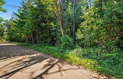 1 Mile Road, Morley, MI 49336