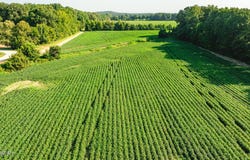 Riddick Road, Friendship, TN 38034