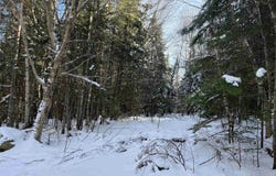 Shadow Lake Road, Glover, VT 05839