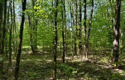 1.3 Littlefield Rd., Camden, NY 13316