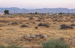 Joshua, Apple Valley, CA 92307