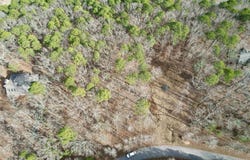 Silver Shores Lane, Drasco, AR 72530