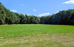 29977 County 31, Browerville, MN 56438