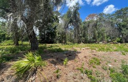 COUNTY ROAD 42, UMATILLA, FL 32784