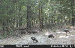 County Road Jj-416, Ava, MO 65608