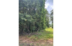 193 W Ms-48, Tylertown, MS 39667