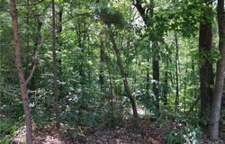 Oak Forest Drive, McCalla, AL 35111