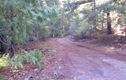 TCZ McAdams Ck Rd, Fort Jones, CA 96032