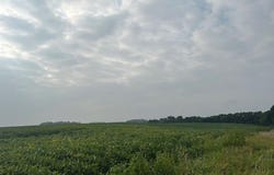 465th St - Parcel 3, Fairfax, MN 55332