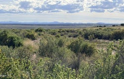 N 6543, St. Johns, AZ 85936