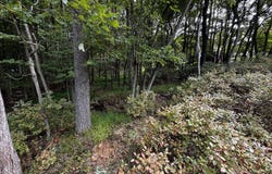 424 Lr 45040 5111, Long Pond, PA 18334