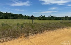 2905 Donald Cobb Road, Bartow, GA 30413