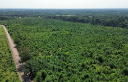 118 LR 27, Ashdown, AR 71822-0000