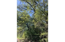 370 CR 222, Brookeland, TX 75931