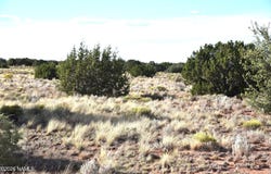 Santa Clara Road, Williams, AZ 86046