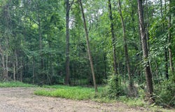 Staats Road, Howard, OH 43028