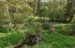 Parcel 231793000, Yacolt, WA 98675
