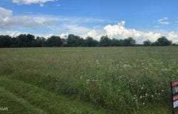 S Ali Cat Drive, Carthage, MO 64836