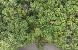 Sandbar Lane lot: C, Merrifield, MN 56465