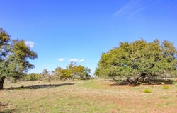 963 Josephine Rd, Harper, TX 78631