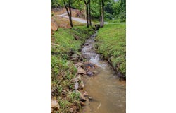 515 Betts Branch, Bryson City, NC 28713