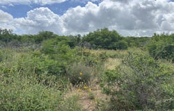 CR 1515, Moore, TX 78057
