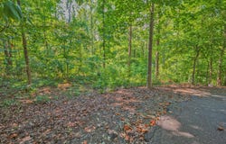 279 Mavericks Run, Martin, GA 30557