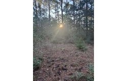 107 Lake Point Way, Bastrop, TX 78602