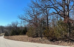 BUCKINGHAM Drive, Camdenton, MO 65020