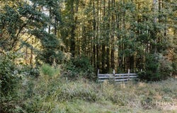 Lundburg Road, Washington, GA 30673