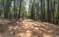 0 Scotty Ln, Forest Ranch, CA 95942