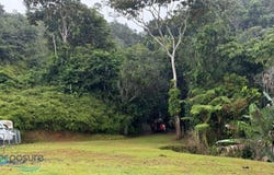 Nuevo, Bayamón, PR 00956