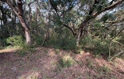 SE 169TH CT, OCKLAWAHA, FL 32179