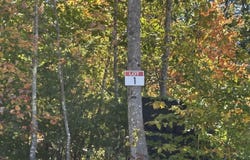 Federal Corner Road, Tuftonboro, NH 03816