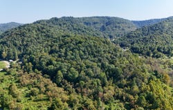 9999 Dora Clark Branch Rd, Flat Lick, KY 40935