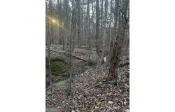 River Ridge Trail, Sparta, GA 31087