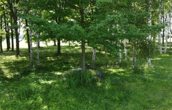 HUNTER CIR lot: 13, Antigo, WI 54409