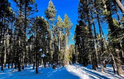 Valle Grande Circle lot: 1108, Angel Fire, NM 87710